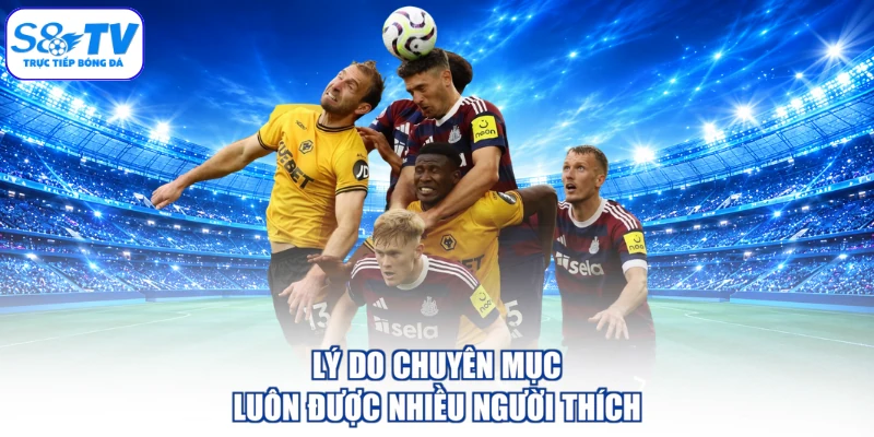 Lý do chuyên mục luôn được nhiều người thích